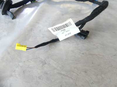 Mercedes Door Wiring Harness, Rear Right 2214405506 W221 07-13 S550 S Class4